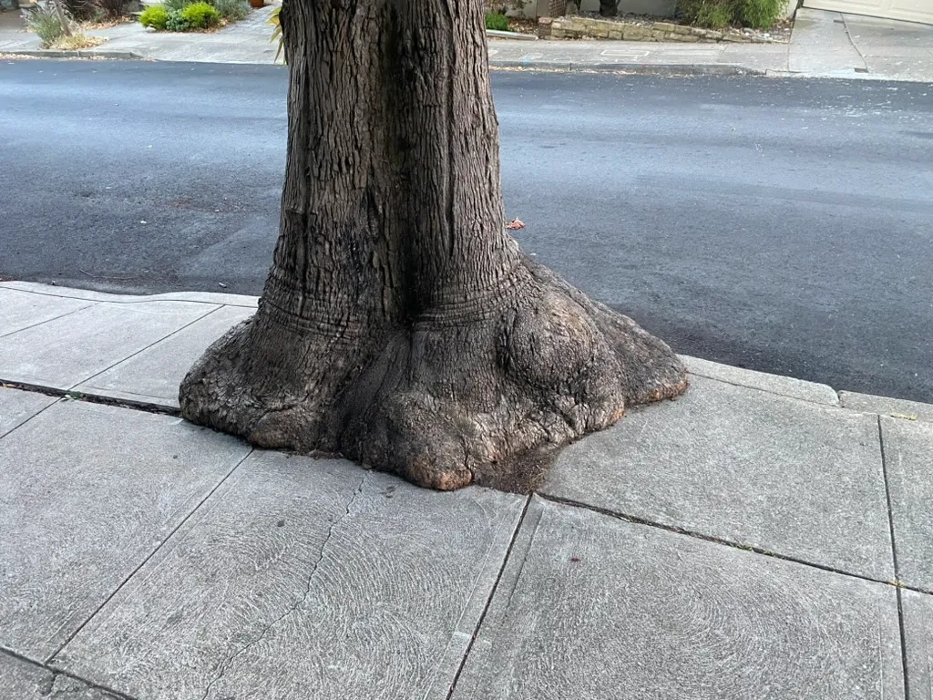 Unstoppable Tree